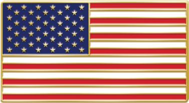 Classic American Flag Pin